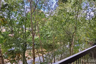 155 S Lexington Ave, Asheville, NC 28801 - Photo 32