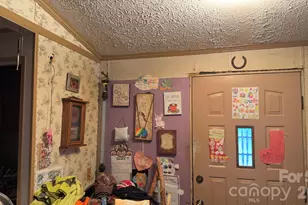468 Long Branch Rd, Green Mountain, NC 28740 - Photo 24