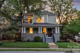 429 Pecan Ave, Charlotte, NC 28204 - Photo 36