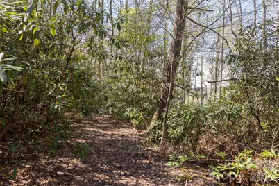 4419 Flat Mountain Road, Highlands, NC 28741 - Photo 4