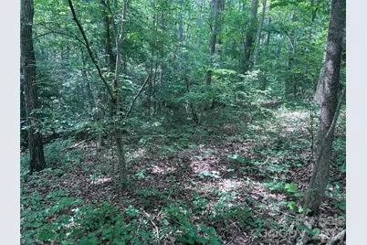 000 Goat Road, Catawba, NC 28609 - Photo 2