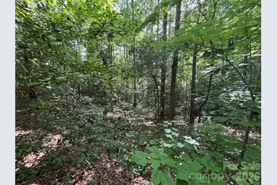 000 Goat Road, Catawba, NC 28609 - Photo 6