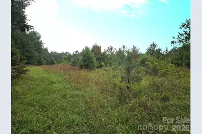 0000 Shirley Road, Fort Lawn, SC 29714 - Photo 4