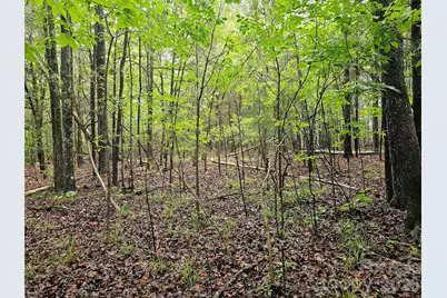 0000 Shirley Road, Fort Lawn, SC 29714 - Photo 2