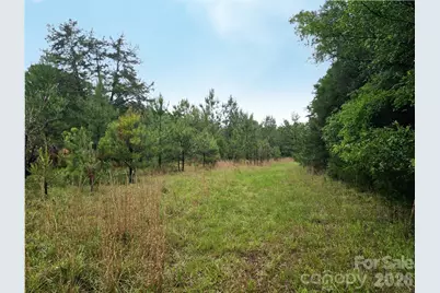 0000 Shirley Road, Fort Lawn, SC 29714 - Photo 1