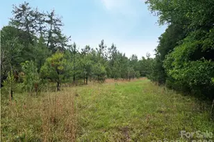 0000 Shirley Rd, Fort Lawn, SC 29714 - Photo 1