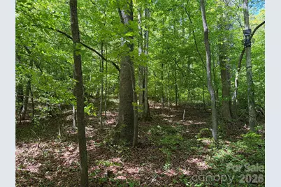 8186 Old Nc Highway 60 None, Roaring River, NC 28697 - Photo 4