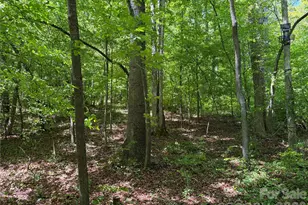8186 Old Nc Hwy 60 None, Roaring River, NC 28697 - Photo 4