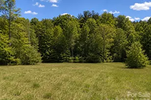 8186 Old Nc Hwy 60 None, Roaring River, NC 28697 - Photo 6