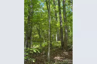 8186 Old Nc Highway 60 None, Roaring River, NC 28697 - Photo 32