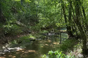 8186 Old Nc Hwy 60 None, Roaring River, NC 28697 - Photo 30
