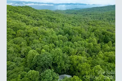 118 Little Bear Lane, Pisgah Forest, NC 28768 - Photo 44
