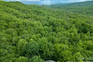 118 Little Bear Ln, Pisgah Forest, NC 28768 - Photo 44