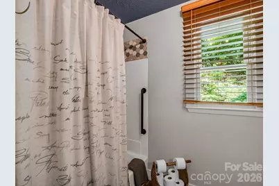 395 E Howard Street, Tryon, NC 28782 - Photo 22