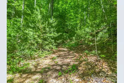 21 Wits End Trail, Swannanoa, NC 28778 - Photo 20