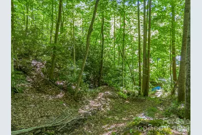 21 Wits End Trail, Swannanoa, NC 28778 - Photo 24