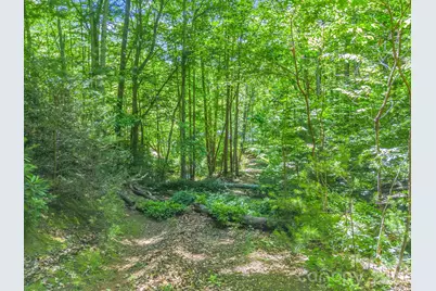 21 Wits End Trail, Swannanoa, NC 28778 - Photo 22