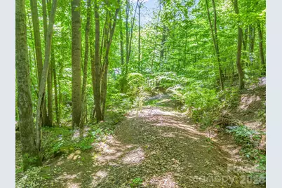 21 Wits End Trail, Swannanoa, NC 28778 - Photo 18