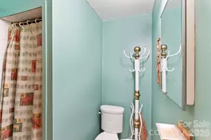 31 Valley Cove Pl, Waynesville, NC 28785 - Photo 24