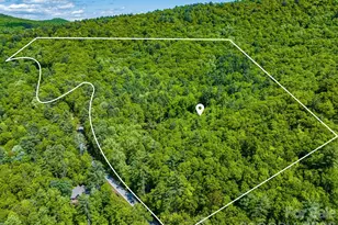 1213 Bull Pen Rd, Cashiers, NC 28717 - Photo 20