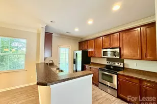 11848 Lion Cub Ln, Charlotte, NC 28273 - Photo 2