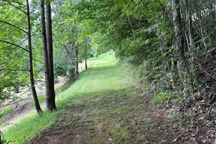 70 Heslar Way, Marshall, NC 28753 - Photo 14