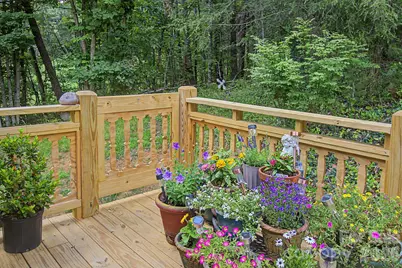 175 Pine Cove Lane, Alexander, NC 28701 - Photo 28