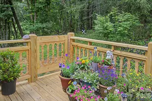 175 Pine Cove Ln, Alexander, NC 28701 - Photo 28