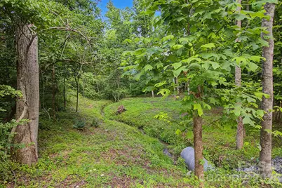 175 Pine Cove Lane, Alexander, NC 28701 - Photo 26