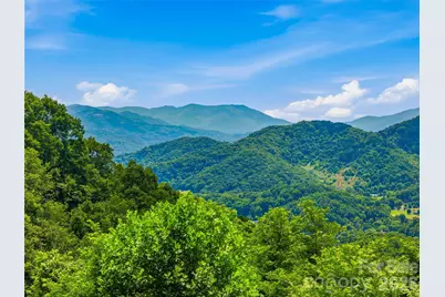 1877 Wilson Cove Road, Canton, NC 28716 - Photo 2