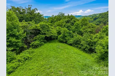 1877 Wilson Cove Road, Canton, NC 28716 - Photo 36
