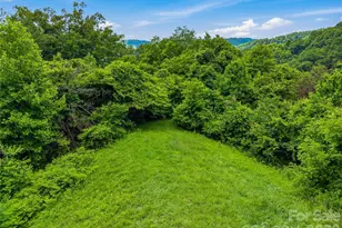 1877 Wilson Cove Rd, Canton, NC 28716 - Photo 36