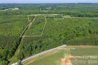 0 Goins Farm Road, Bessemer City, NC 28016 - Photo 2