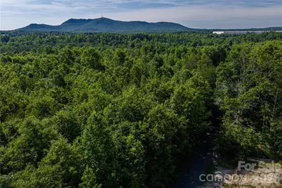 0 Goins Farm Road, Bessemer City, NC 28016 - Photo 20
