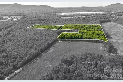 0 Goins Farm Road, Bessemer City, NC 28016 - Photo 1