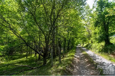 60 Virgels Mountain Road, Burnsville, NC 28714 - Photo 48