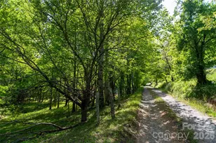 60 Virgels Mountain Rd, Burnsville, NC 28714 - Photo 48
