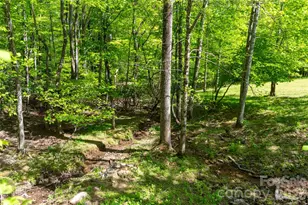 60 Virgels Mountain Rd, Burnsville, NC 28714 - Photo 46