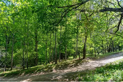 60 Virgels Mountain Road, Burnsville, NC 28714 - Photo 44