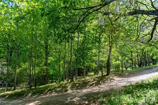 60 Virgels Mountain Rd, Burnsville, NC 28714 - Photo 44
