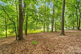 3406 Peninsula Ct, Monroe, NC 28110 - Photo 48