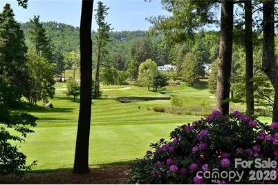 000 Hollybrook Drive #S-15, Flat Rock, NC 28731 - Photo 20