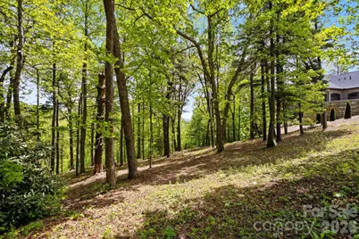 000 Hollybrook Drive #S-15, Flat Rock, NC 28731 - Photo 6