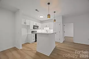 176 Brickton Village Cir, Fletcher, NC 28732 - Photo 20
