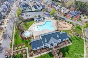 306 Elis Way, Fort Mill, SC 29708 - Photo 46