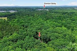 971 Stanley Lucia Rd, Mount Holly, NC 28120 - Photo 46
