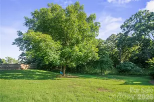 3303 Pikeview Rd, Fort Mill, SC 29715 - Photo 4