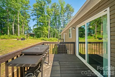 151 Field Sparrow Lane, Hendersonville, NC 28792 - Photo 24