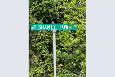 137 Shanty Town Road, Old Fort, NC 28762 - Photo 2