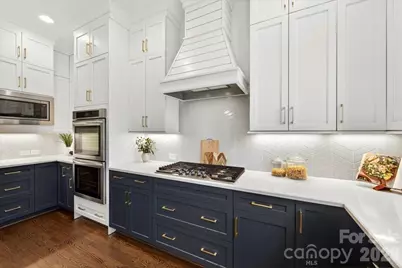 104 Broad Birch Drive, Davidson, NC 28036 - Photo 18